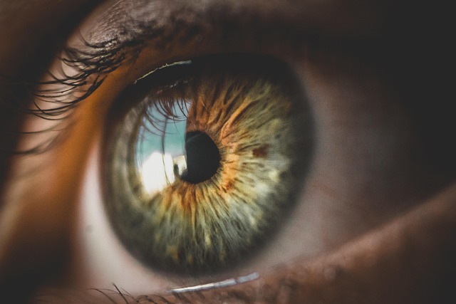 From Blindness to Clarity The ROI of Engagement Visibility