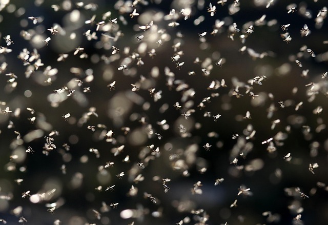 Whats the LongTerm Impact of Mastering SaaS ROI