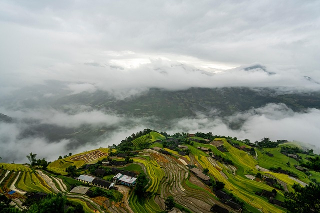 What Tactical Steps Ensure Flawless GTM Execution