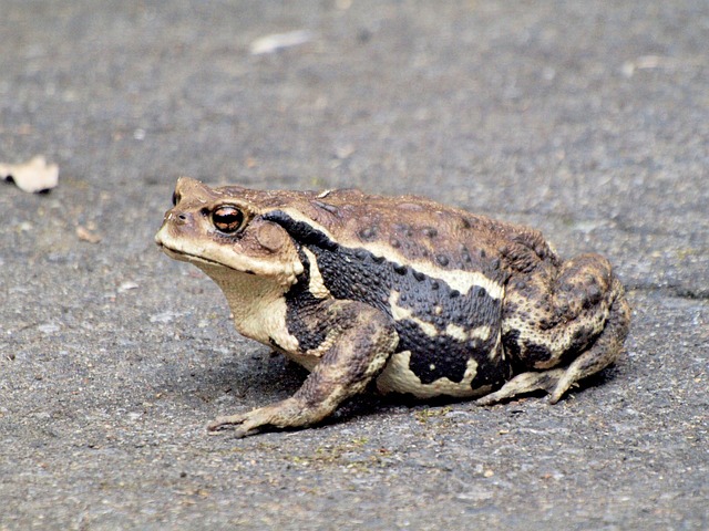 How Does Tiered Pricing Function and What Are Its Core Benefits