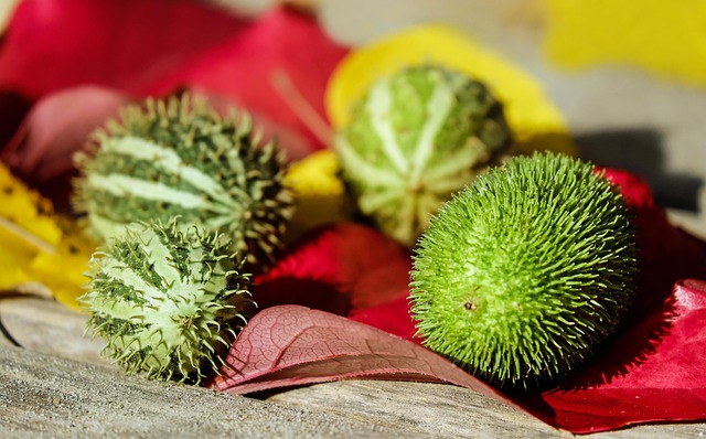 Leveraging Technology and Human Expertise for Seamless Onboarding