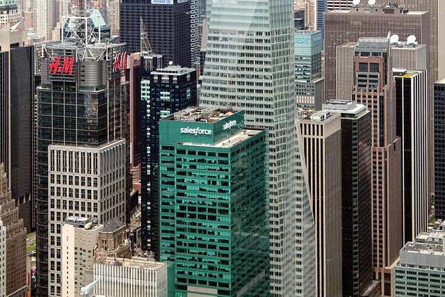 What Are the Best Salesforce Alternatives for Startups
