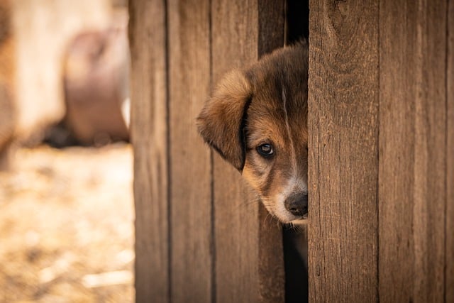 Strategic PreOnboarding Laying the Foundation for Adoption