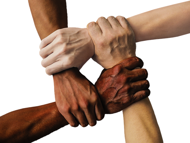 Mastering Team Setup Roles Permissions  Collaboration