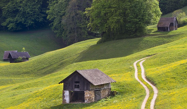 Where do we promote our utility tools to maximize organic traffic and conversions