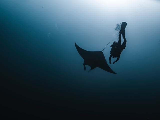 How did our team conduct this deep dive into 50 CRO comparison examples