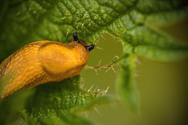 Why One Without the Other Fails The Synergy of B2B Onboarding