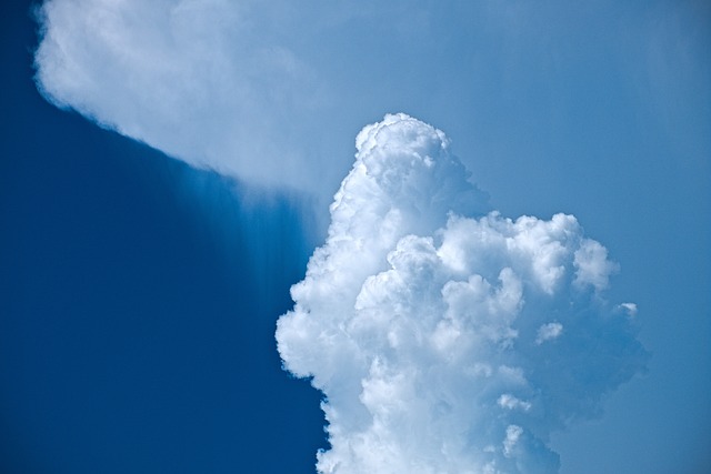 The Competitor Effect External Threats to Momentum