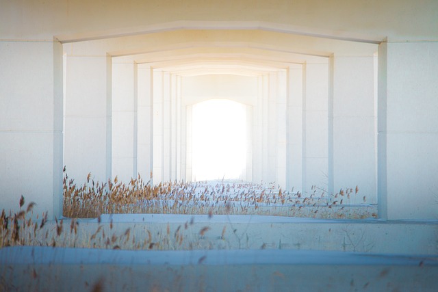 Building Bridges Strategies to Sustain Momentum