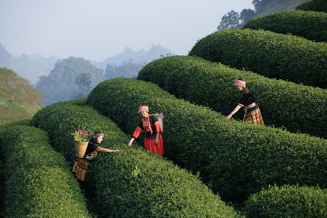 Crafting Intuitive FirstRun Experiences for General Users