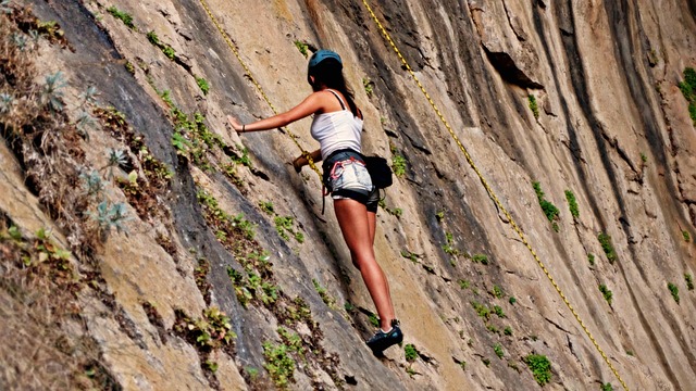 Kuidas valida ige triist mis toetab teie rieesmrke
