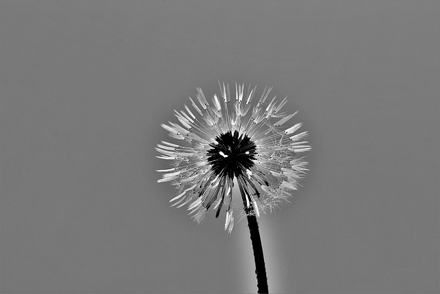 Czy analiza danych i cige doskonalenie s kluczem do dugoterminowej retencji w SaaS