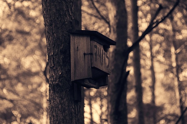 Czy darmowy CRM to zawsze wystarczajce rozwizanie dla dynamicznie rosncej firmy w Polsce