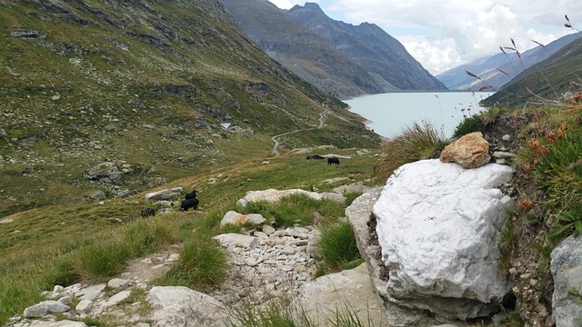 Czy Twoje narzdzia retencji przynosz mierzalne zyski w polskim ekosystemie SaaS