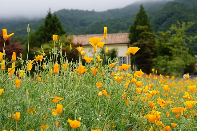 Quels Critres B2B Prioriser pour Choisir Votre Hub Domotique Idal