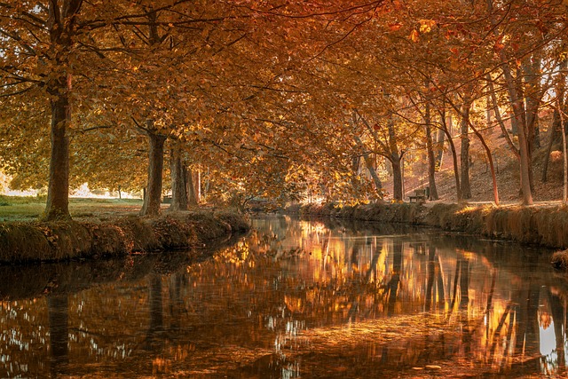 Des Cas dUsage Franais Comment des Entreprises Optimisentelles