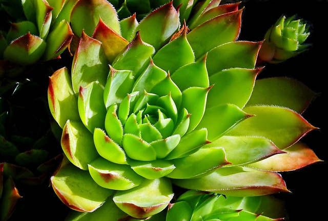 How Can You Maximize the Value of AI Workflow Automation Examples