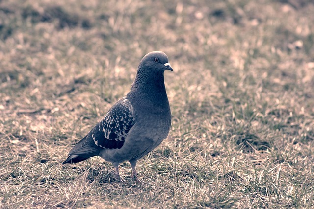 How Can You Spot Churn Risks Before They Escalate