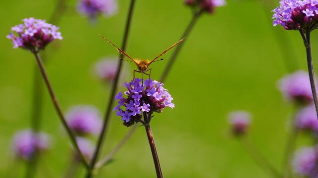 How Can You Prevent Churn Before It Starts