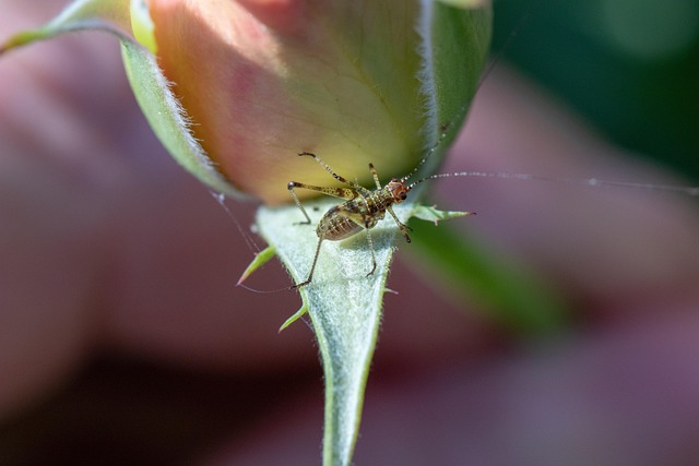 So which platform is truly best for your small list monetization