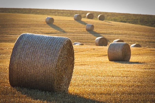 What Quantifiable SEO Gains Did Our Consistent Blogging Yield
