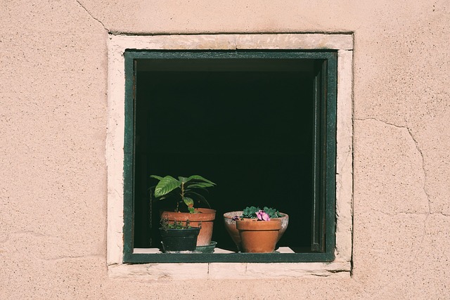What does the future hold for B2B SaaS according to our market insights