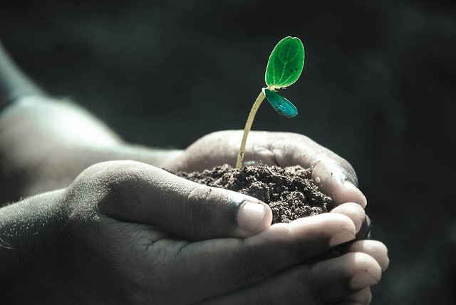Are new partnership models essential for our future B2B growth