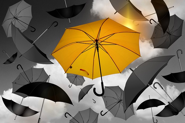 What key features did we prioritize in a payment gateway for our business