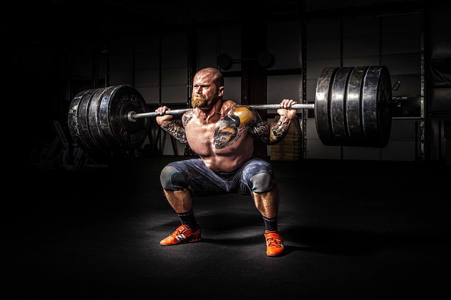 Which tools and data sources power our programmatic SEO efforts